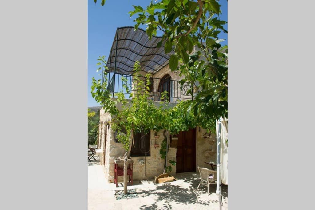 Petite Olive House Villa Sitía Eksteriør bilde